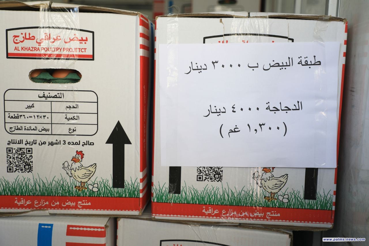 الزراعة تنفي ارتفاع أسعار الدواجن وتؤكد استقرار السوق